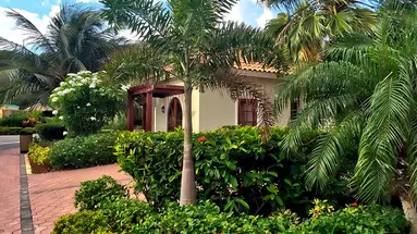 Egzotyka Light - Curacao