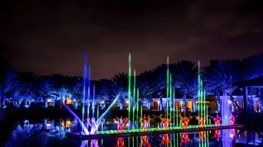 Egzotyka Light - Curacao