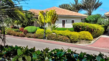 Egzotyka Light - Curacao