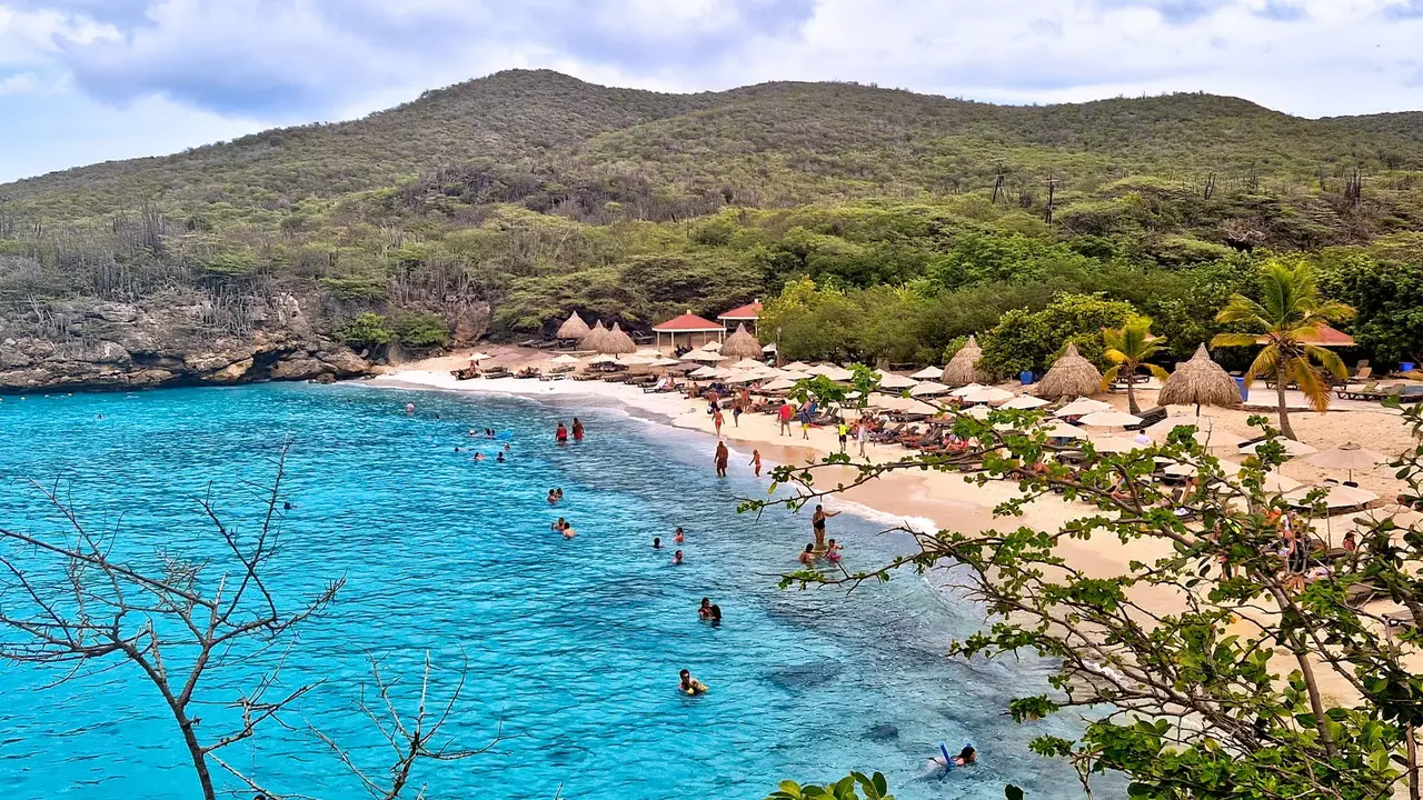 Egzotyka Light - Curacao