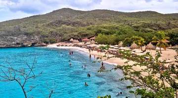 Egzotyka Light - Curacao