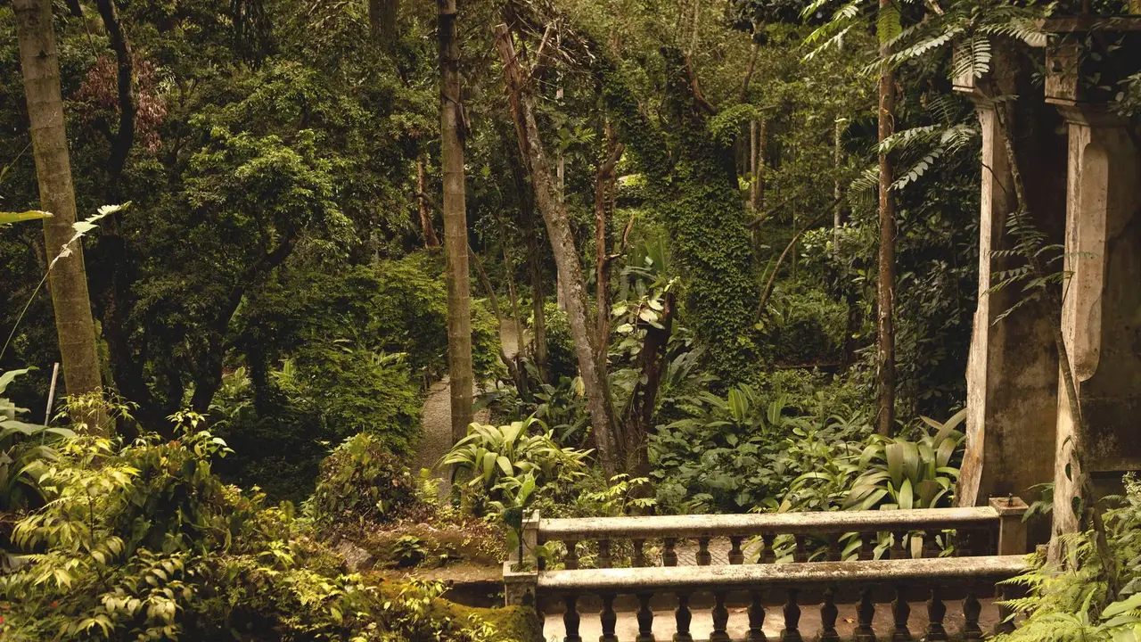 Egzotyka Light - Rio de Janeiro