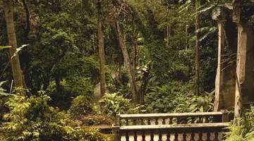 Egzotyka Light - Rio de Janeiro