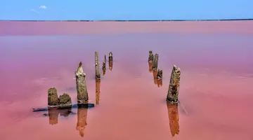 Egzotyka Light - Senegal