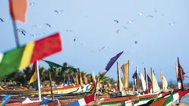 Egzotyka Light - Senegal