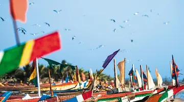 Egzotyka Light - Senegal