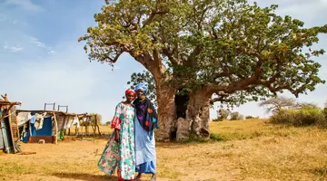 Egzotyka Light - Senegal