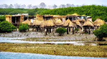 Egzotyka Light - Senegal