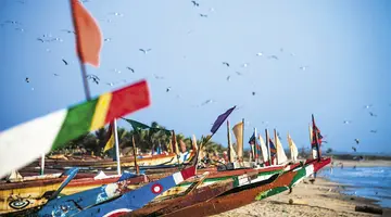 Egzotyka Light - Senegal