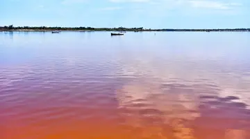 Egzotyka Light - Senegal