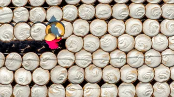 Egzotyka Light - Wietnam