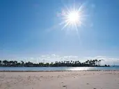 Eix Alcudia