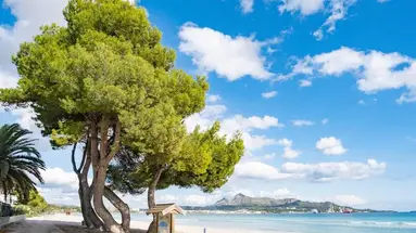 Eix Platja Daurada Hotel &amp SPA