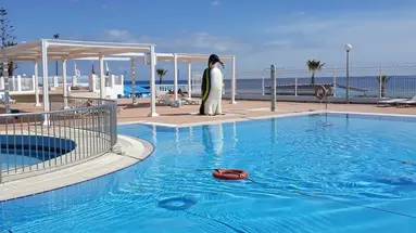 EL MOURADI CLUB SELIMA