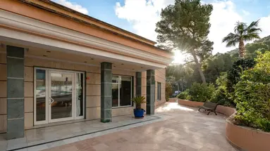 El Pinar