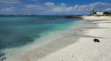 Elba Corralejo Premium Level (only Adults +16)