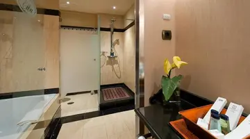 Elba Estepona Gran hotel and Thalasso Spa