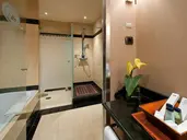 Elba Estepona Gran hotel and Thalasso Spa