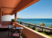 ELBA ESTEPONA GRAN HOTEL & THALASSO SPA