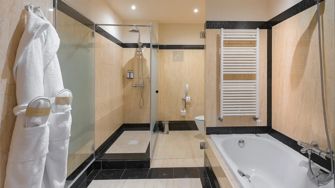 Elba Estepona Gran Hotel & Thalasso Spa