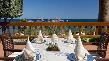 ELBA ESTEPONA GRAN HOTEL & THALASSO SPA