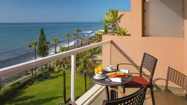Elba Estepona Gran Hotel & Thalasso Spa