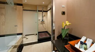 Elba Estepona GRAN HOTEL & THALASSO SPA