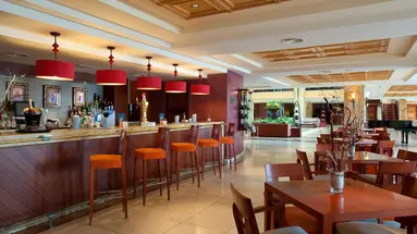 ELBA ESTEPONA GRAN HOTEL & THALASSO SPA
