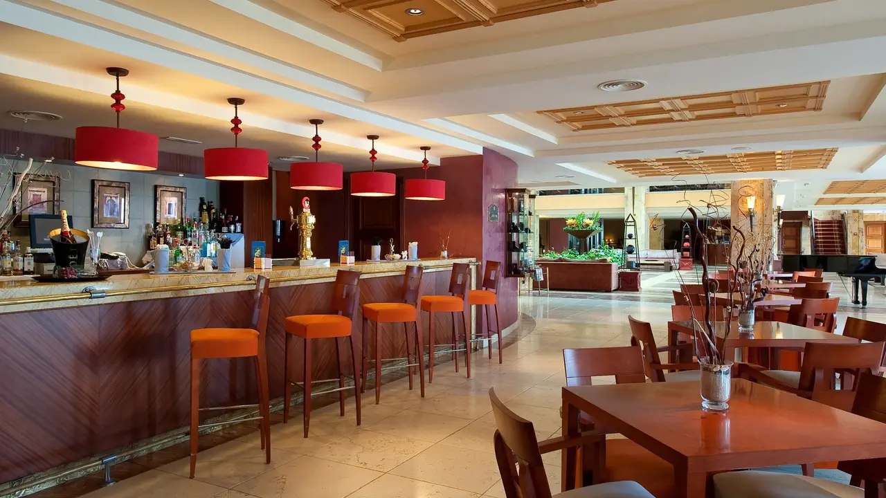 ELBA ESTEPONA GRAN HOTEL & THALASSO SPA
