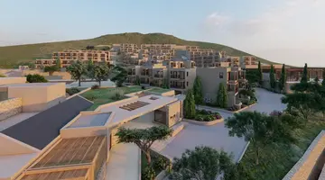 Elios Hill Sun-Kissed Happiness