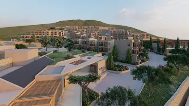 Elios Hill Sun-Kissed Happiness