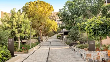 Elios Hill