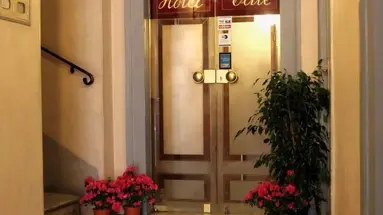 Elite