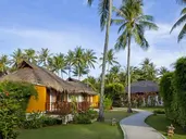 Elixir Koh Yao Yai