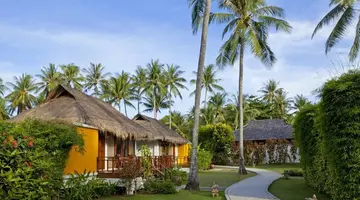 Elixir Koh Yao Yai