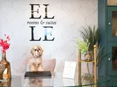ELLE Rooms and Suites