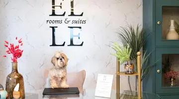 ELLE Rooms and Suites