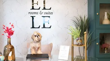 ELLE Rooms and Suites