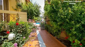 Elotia Hotel Creteotels