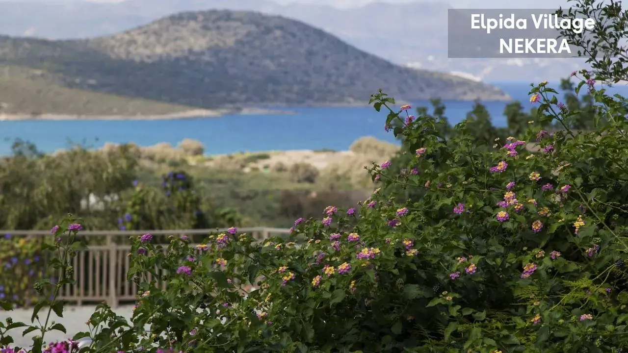 Elpida Village