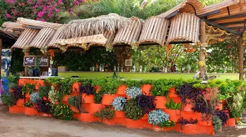 Elysees Dream Beach Hotel