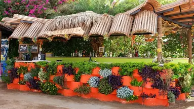 Elysees Dream Beach Hotel