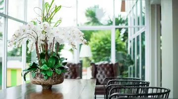 Embryo Hotel