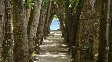 Embudu Village