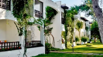 Emelda Sun Club