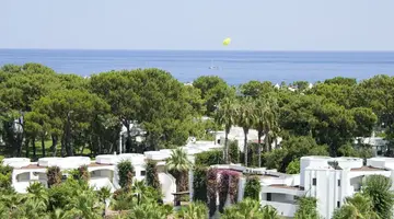 Emelda Sun Club