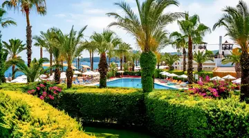 Emelda Sun Club