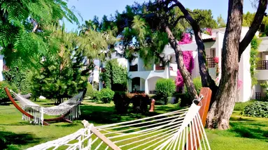 Emelda Sun Club