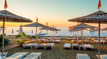 Emelda Sun Club