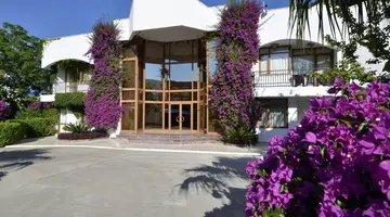 Emelda Sun Club
